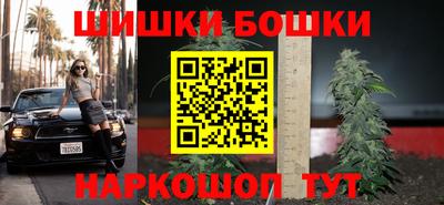 крисы Заводоуковск
