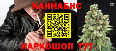 крисы Заводоуковск