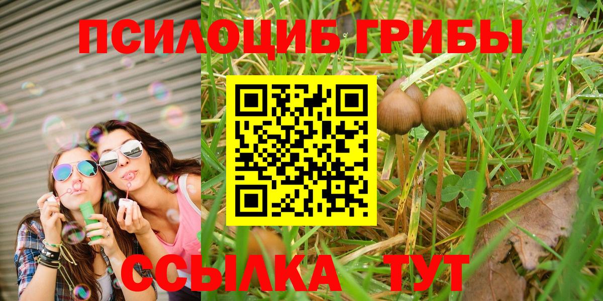 Галлюциногенные грибы Малоярославец